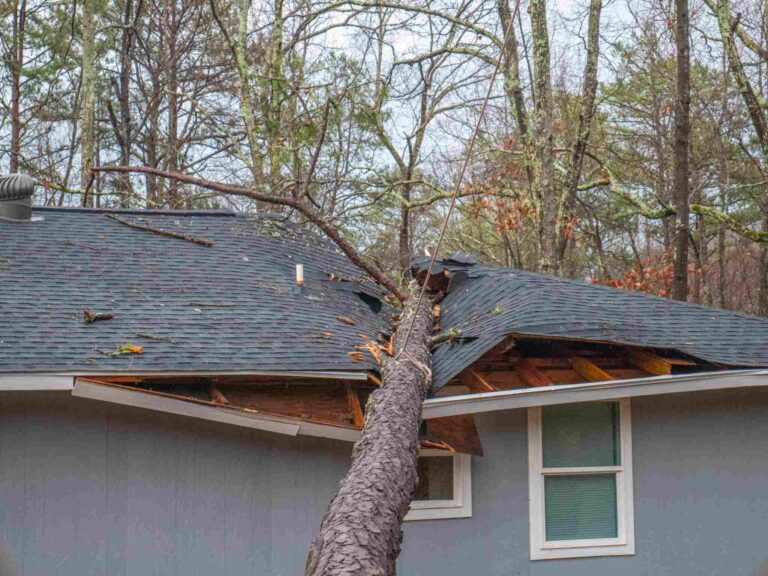 Storm damage roof repair and emergency tree removal services by Paul Davis Restoration of Lynchburg, Roanoke & Southside VA after fallen tree impact